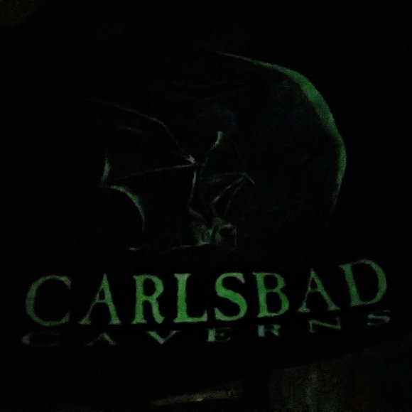 90's Bats Carlsbad Caverns Large Glows in the Dark* - Picture 6 of 6